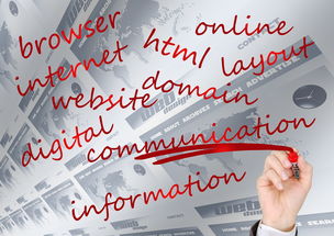 MK体育互动-校园体育赛事品牌建设路径与传播策略研究，校园体育竞赛体系