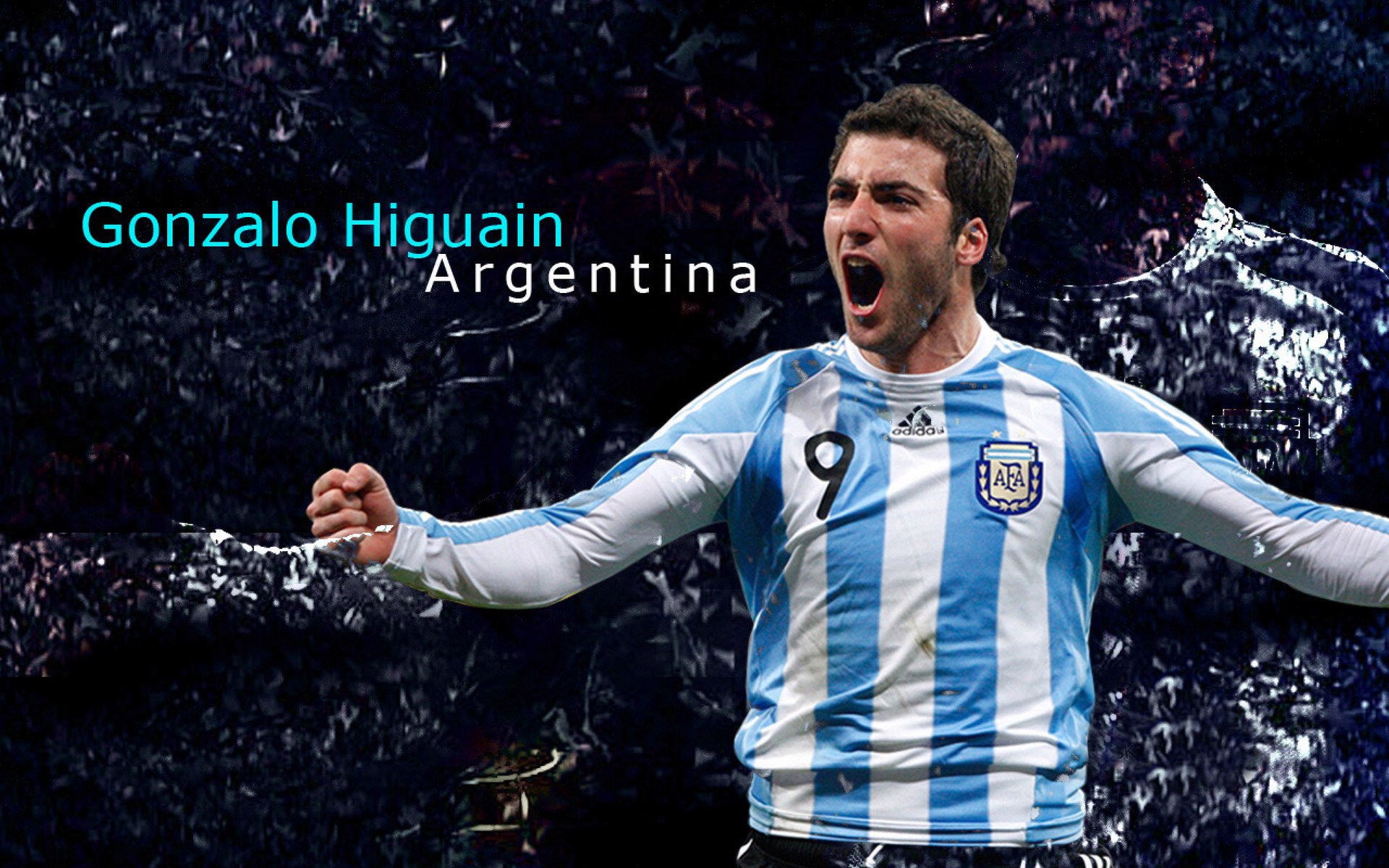 澳洲队稳定发挥赢得教练和观众肯定，澳洲足球职业联赛